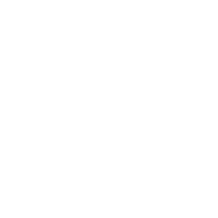North Carolina State Icon.