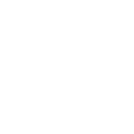 Delaware State Icon.