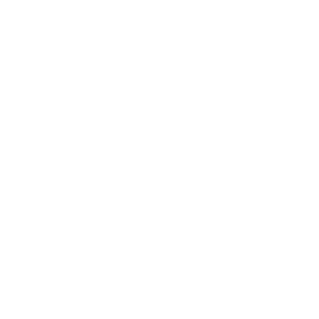 Texas State Icon.
