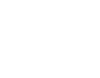 Florida State Icon.
