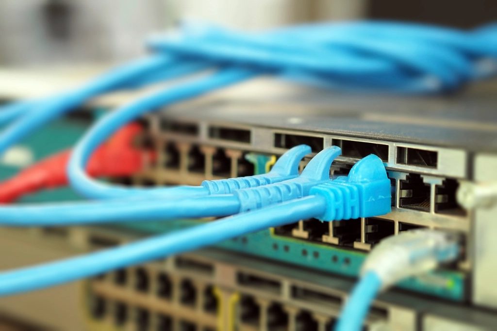 Ethernet cables patched into enterprise network switches.